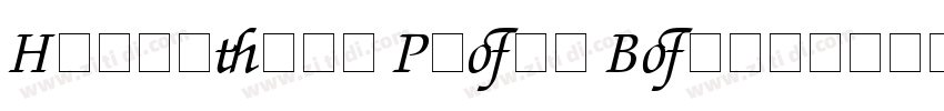 Helvetica Profi Bold字体转换